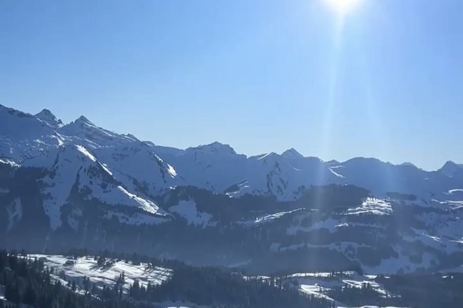 Zentralschweizer JungsozialistInnen rufen Stimmbevölkerung zu einem JA für die Erhaltung der Natur auf!